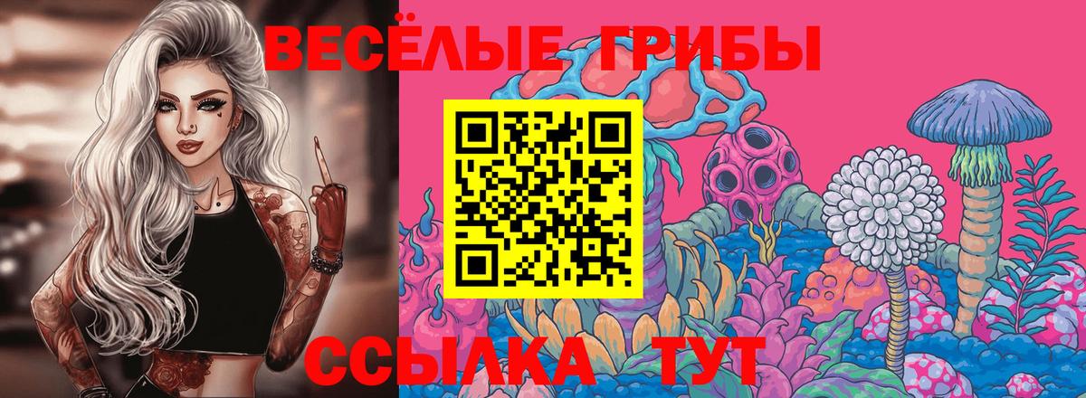 Псилоцибиновые грибы Psilocybe Красноярск